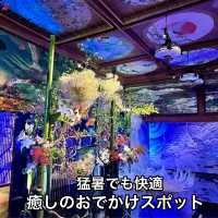 猛暑でも快適！『目黒雅叙園』五感を満たす「和のあかり」
