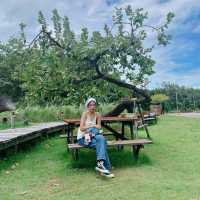 โอบบ์ Farm&Cafe 
