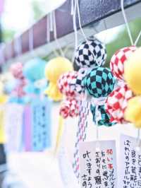 梅雨だから見れる"無料"の映えスポット✨見逃すなであります🫡