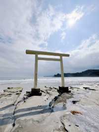 【千葉】本当は教えたくない🫢白い鳥居が神秘的🤍涼しくて快適な海水浴場
