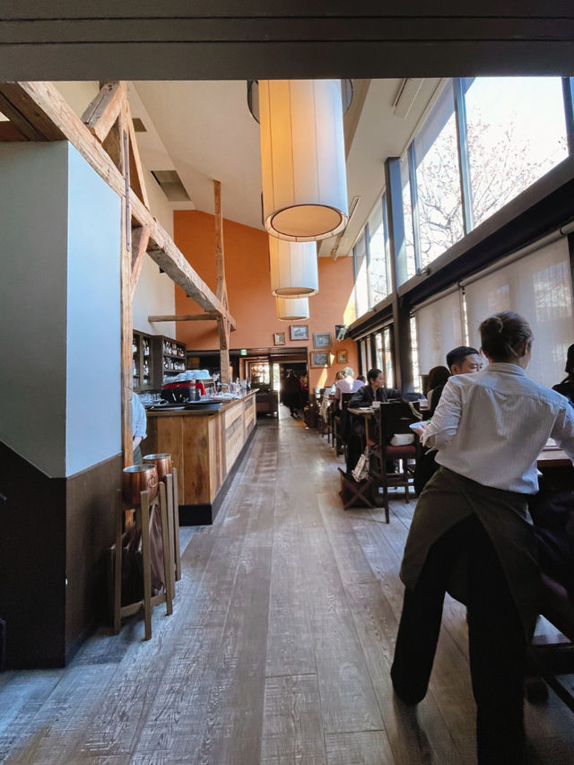 人気❣️東京のお洒落レストラン😋🍽️✨IVY PLACE
