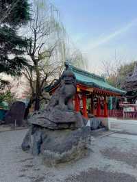 【東京】御朱印巡り❁⃘浅草寺のお隣りに佇む神社⛩
