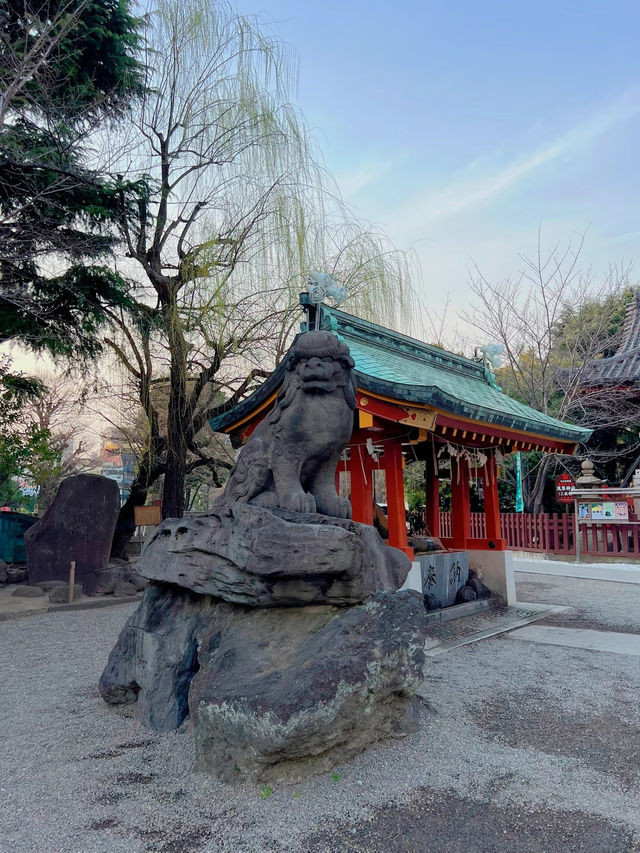 【東京】御朱印巡り❁⃘浅草寺のお隣りに佇む神社⛩
