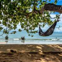 The holiday beach with comforts