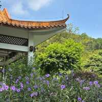 湖南省植物園：綠意盎然