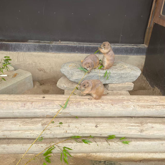 【動物に癒されるトリアスふれあい動物園】
