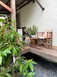🏡 บ้านป้า : BAAN PA 