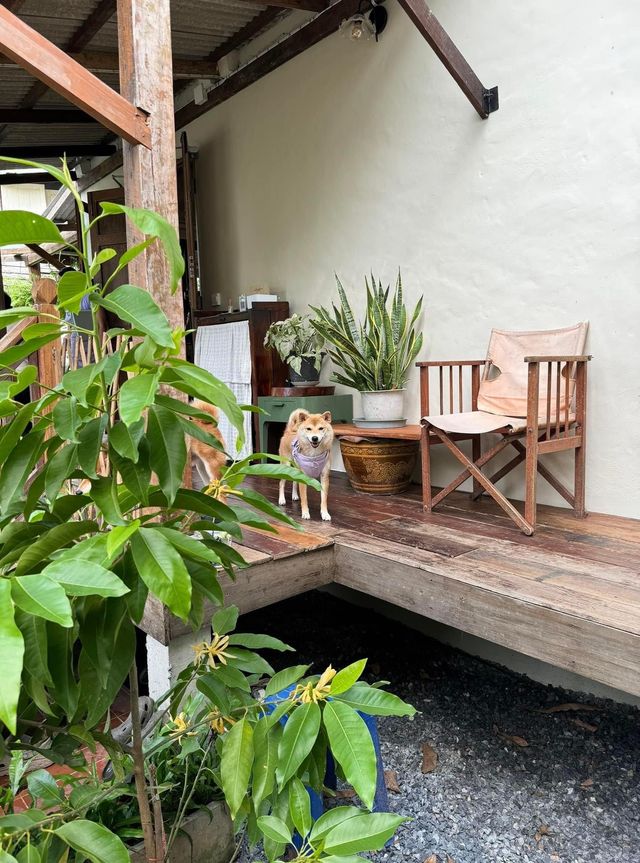 🏡 บ้านป้า : BAAN PA 