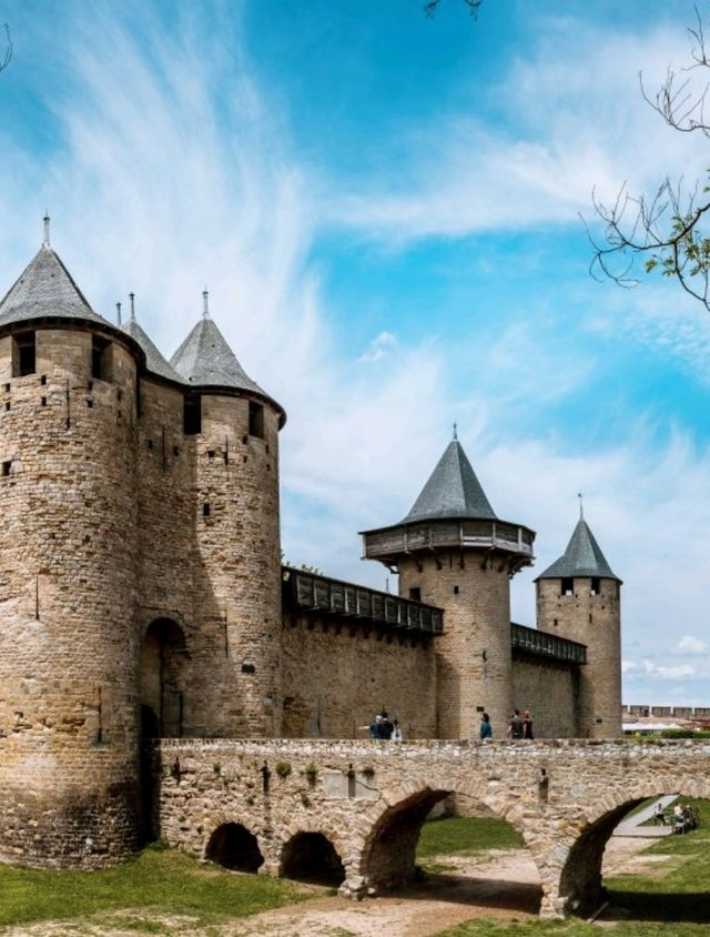 Carcassonne City Day Tour