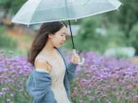 ภูดอย โฮมสเตย์ ม่อนแจ่ม