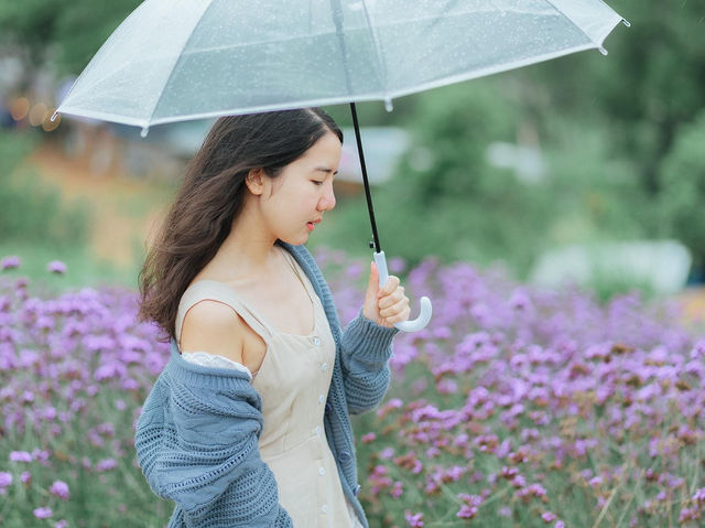 ภูดอย โฮมสเตย์ ม่อนแจ่ม