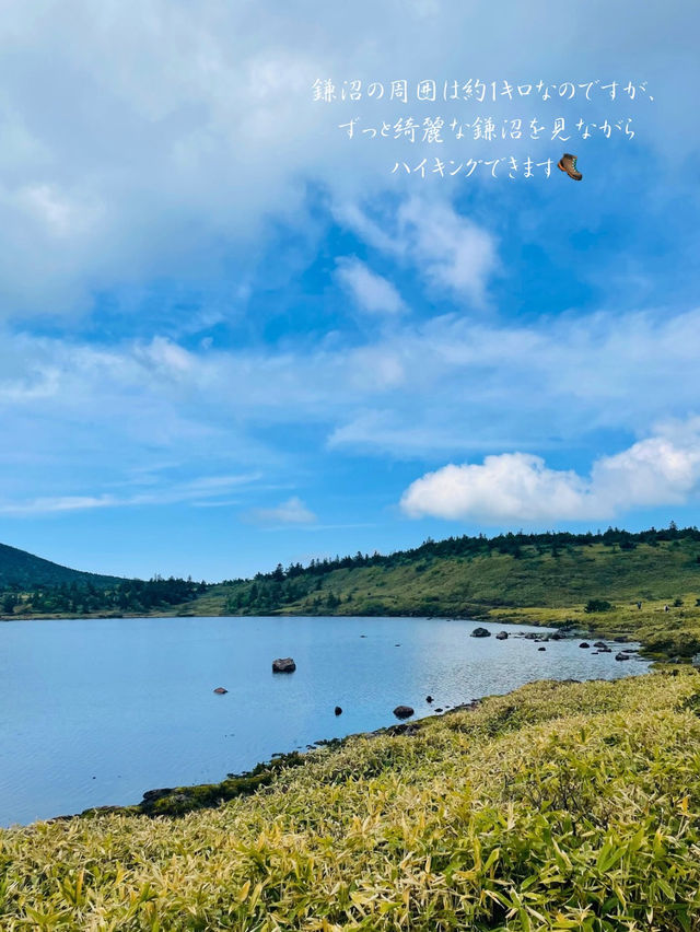 軽めの登山⛰️と自然を楽しむなら鎌沼がおすすめ🥾