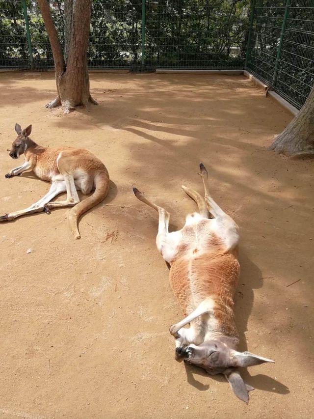 海之中道海濱公園 