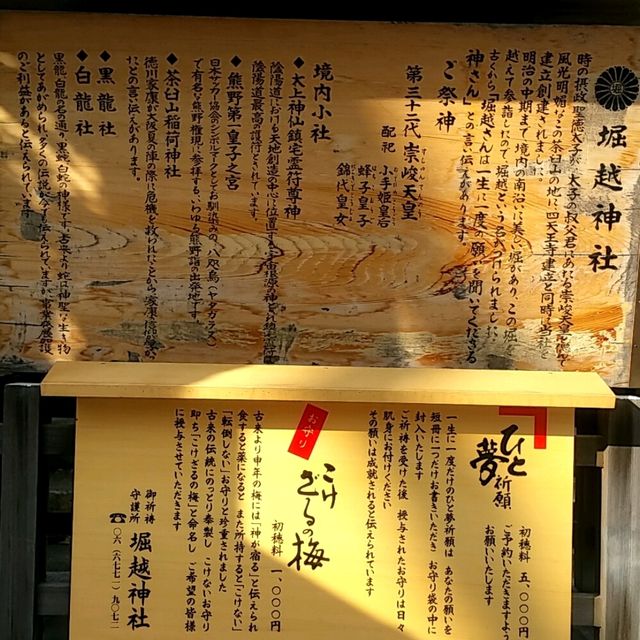 【大阪府】堀越神社