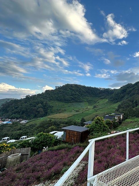 📍 ยิ่งยงสวนดอกไม้ 