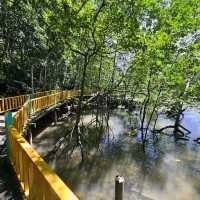 Kilim Geoforest Park