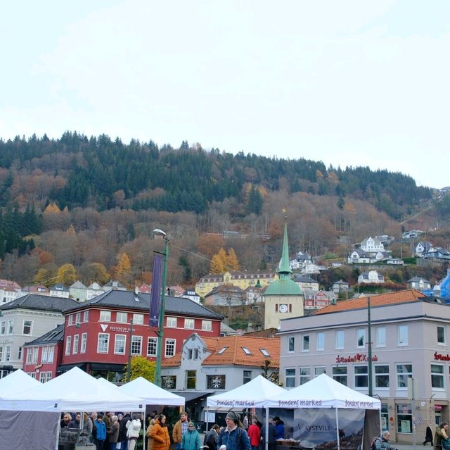 挪威峽灣城市Bergen