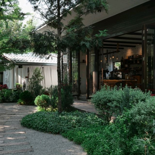 The Humble Jack - คาเฟ่ของกระต่าย Jack 