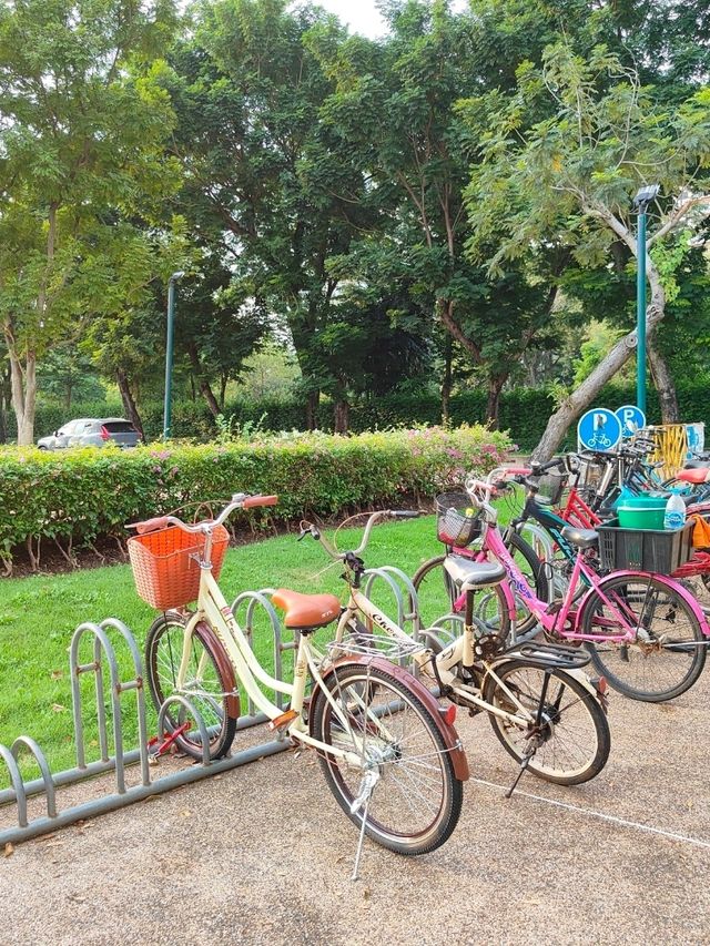 ปั่นจักรยานในสวนสาธารณะกลางกรุง