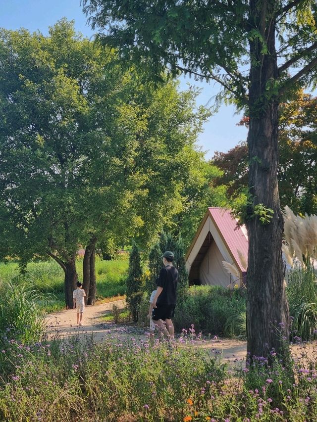 올해 오픈한 초신상 감성숙소