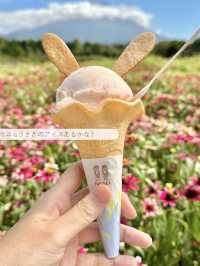 9月に行きたい花スポット5選【関東】MAPつき