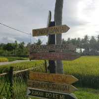 Truely Nature of Kampong Agong