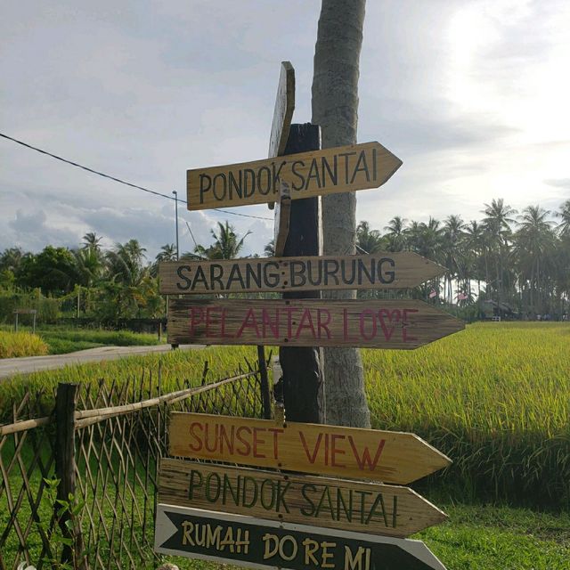 Truely Nature of Kampong Agong