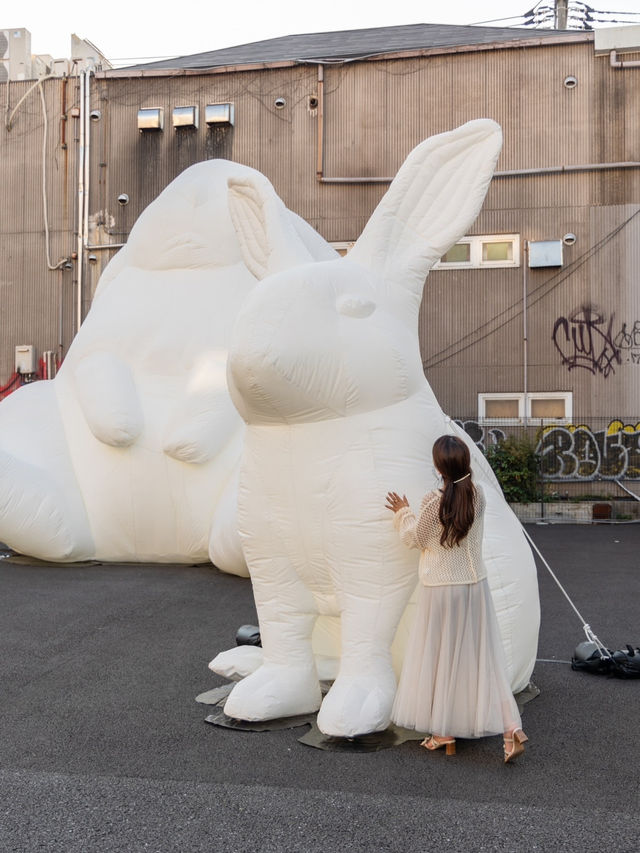 【東京都/下北沢】今行きたい40万人が見た手が届きそうな月