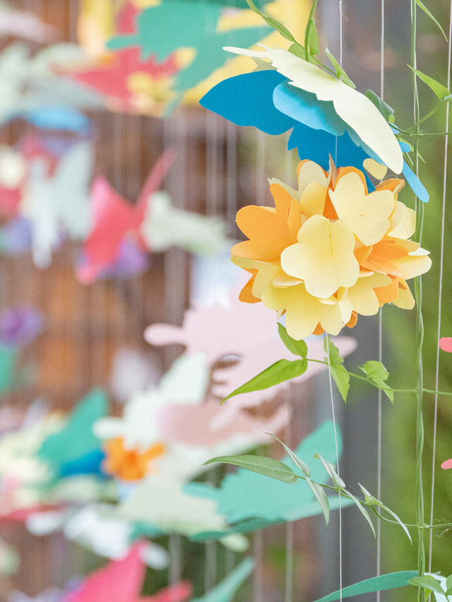 【期間限定】ここじつは貸し切り空間🌈✨ カラフルリフレの映えエリア＆季節の花畑も必見！🌿🌼