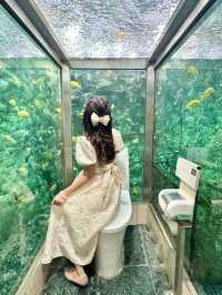 日本初！トイレの中が水族館？！🐠