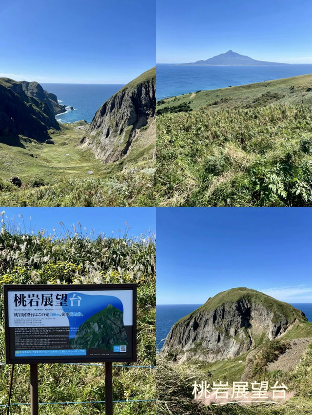 【完全保存版】北の最果て礼文島２泊3日の旅プラン✨