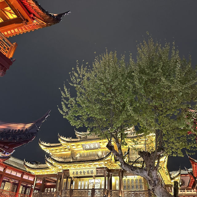 ไปเชี่ยงไฮ้ต้องไปYuyuan Garden🤩