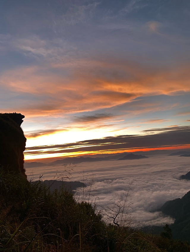 ชมทะเลหมอกที่ภูชี้ฟ้า จ.เชียงราย ⛰️⛅️🌳🌼