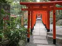 熱海観光　来宮神社