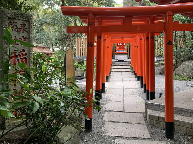 熱海観光　来宮神社