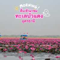 ตื่นเช้ามาชมทะเลบัวแดง อุดรธานี