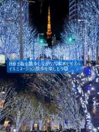 〜東京都〜MAP付！カップルで東京クリスマス旅行攻略！✨