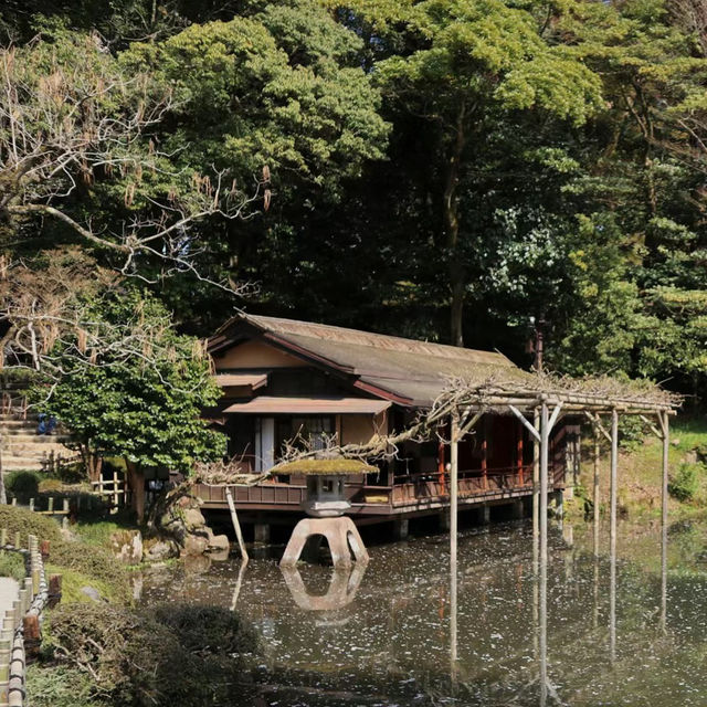 ～屋上庭園～靜靜美麗～