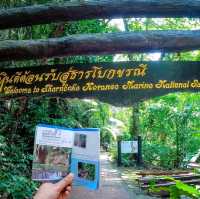 ทริปกระบี่