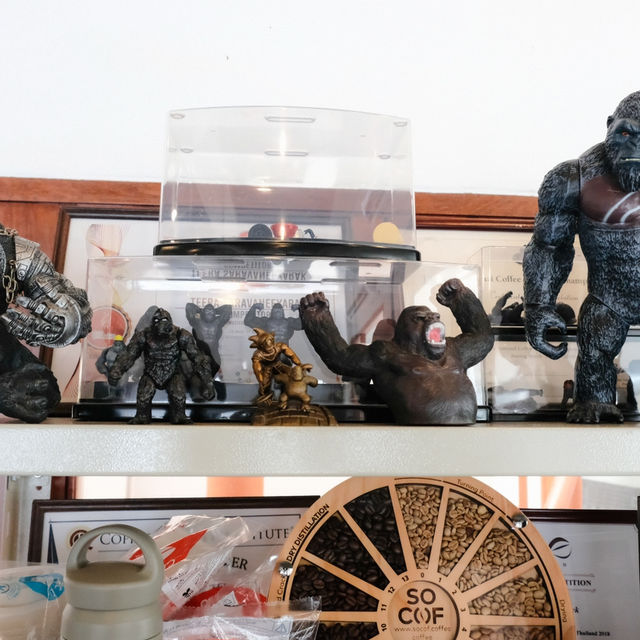 Kingkong Coffee Roaster: โรงคั่วกาแฟสุดชิค 