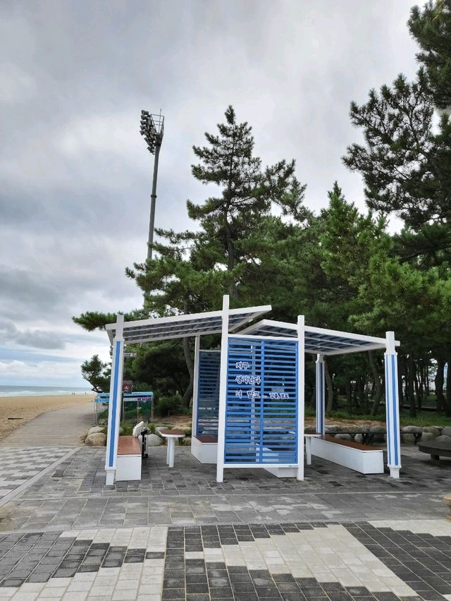 언제가도 멋진 강릉 대표 경포해수욕장