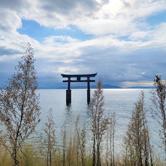 白鬚神社 水上鳥居