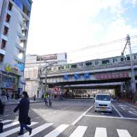 เดินเที่ยวหาของกินที่ ตลาด Ameyoko อุเอะโนะ