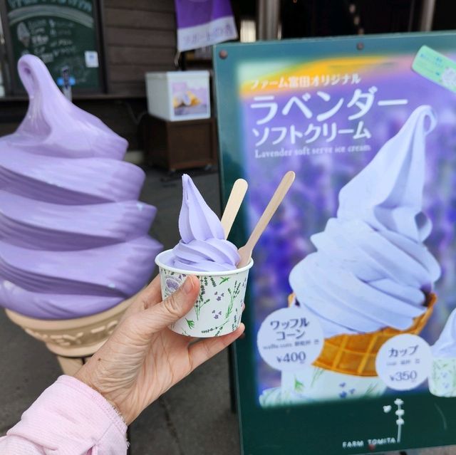 北海道之旅- 富良野富田農場/四季彩之丘