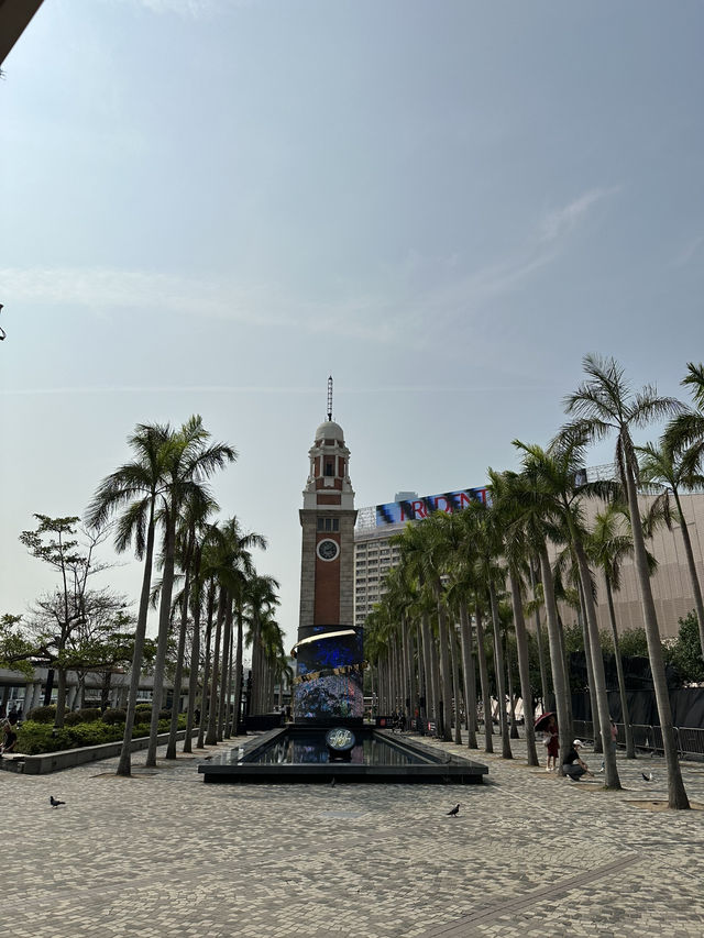Hong Kong Cityscape: From the Avenue of Stars to The Peak