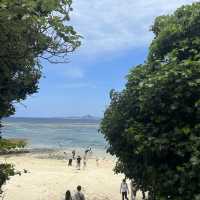 A Fun Getaway to Okinawa Churaumi Aquarium