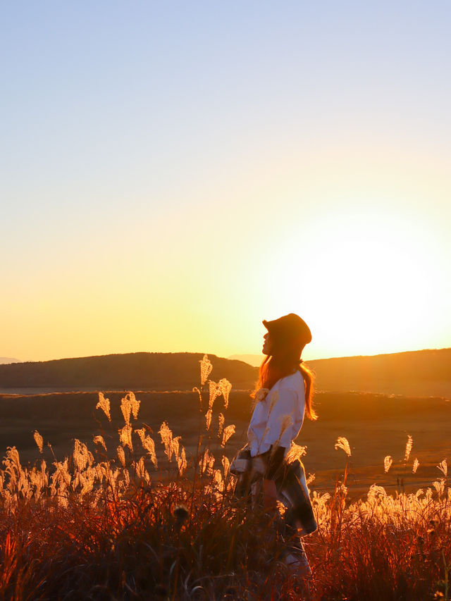 【熊本】🌾 秋の阿蘇⛰️ススキとサンセット！ここでしか味わえない絶景 🌅