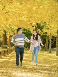 Picturesque Nami island in Fall 🍂🍁