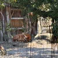 【台北動物園】 台北市立動物園😎