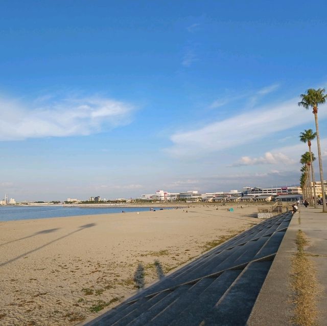 【泉南ロングパーク:大阪府泉南市】まるでハワイみたいな綺麗な場所🌴